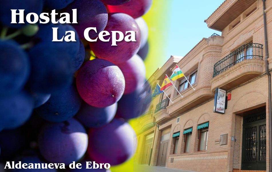 Hostal la Cepa en Aldeanueva de Ebro la Rioja